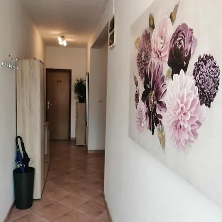 Luka Apartment